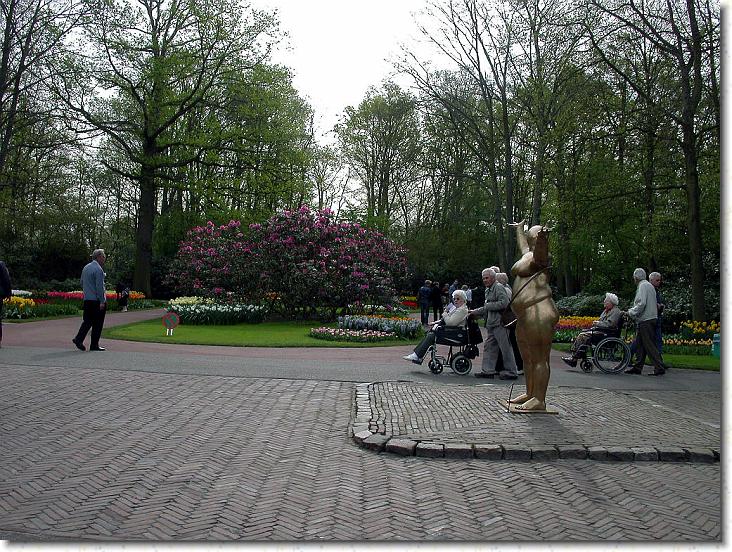 Næste billede